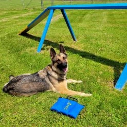 Agility Saddlebag Sand Bag W/ Weights 13# 17 Agility Saddlebag Sand Bag W/ Weights 13# -Agility Shop 350756 6 full 07823.1638911536