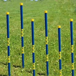 Agility In-ground Weave Poles 36" -Agility Shop 350760 14 full 45131.1638911343