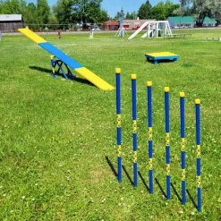 Agility In-ground Weave Poles 36" -Agility Shop 350760 6 full 64490.1638911347