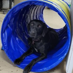 Agility Heavy Duty Dog Tunnel 24" X 12' -Agility Shop 350765 2 full 89224.1658775846