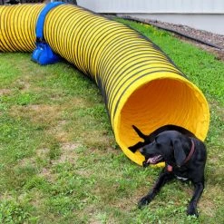 Agility Heavy Duty Dog Tunnel 24" X 20' -Agility Shop 350766 4 full 43160.1652382131
