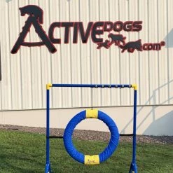 Agility Competition Tire Jump -Agility Shop 350771 9 full 50521.1650278723