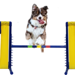 Agility Cascading Wing Jump- Competition Size -Agility Shop 350773 8 full 67184.1643644144