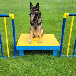 Agility Free Standing Wings -Agility Shop 350774 4 full 68231.1638911525