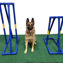 Agility PVC Dog Walk Center Support -Agility Shop 350783 6 00515.1663684242