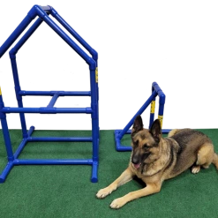 Agility Dog Walk Bases W/Side Ramps 48" -Agility Shop 350788 2 95126.1666353475