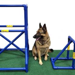 Agility PVC Deluxe Double Dog Walk Bases W/Side Ramps -Agility Shop 350789 4 16458.1663686984