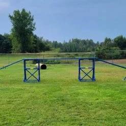 Agility PVC Deluxe Double Dog Walk Bases W/Side Ramps -Agility Shop 350789 7 93095.1663686977