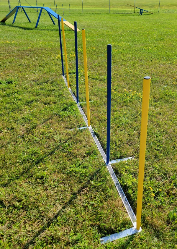Agility Competition Weave Poles - Plus 2x2 Training System 5 Agility Competition Weave Poles - Plus 2x2 Training System - Image 5