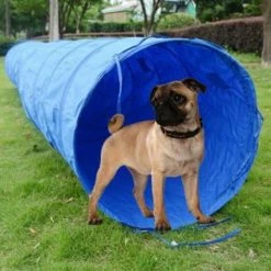 Agility Dog Tunnel W/ Carry Bag 10 Agility Dog Tunnel W/ Carry Bag -Agility Shop 3520515.1 05783.1638911385