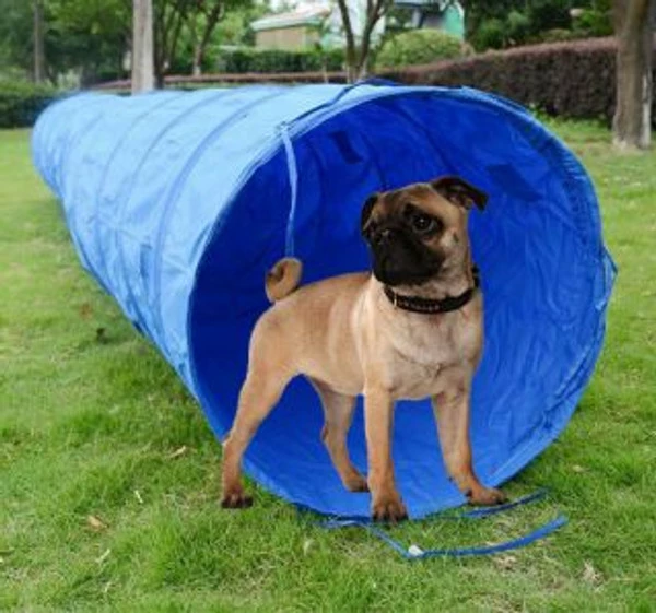 Agility Dog Tunnel W/ Carry Bag 5 Agility Dog Tunnel W/ Carry Bag - Image 5
