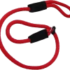 Heavy Nylon Mendota Slip Leash