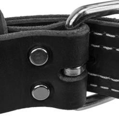Center D-Ring Leather Dog Collar 1.5" -Agility Shop 401615 3 full 39535.1638911414