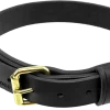 Military Spec Leather Dog Collar 1.25"