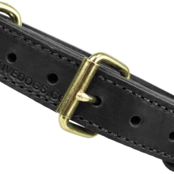 Military Spec Leather Dog Collar 1.25" 7 Military Spec Leather Dog Collar 1.25" -Agility Shop 401619BK 1 full 52854.1638911371