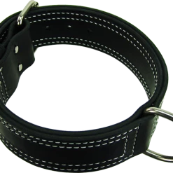 Center D-Ring Leather Dog Collar 2" -Agility Shop 401620 23 2 full 11537.1638911407