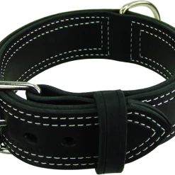 Center D-Ring Leather Dog Collar 2"
