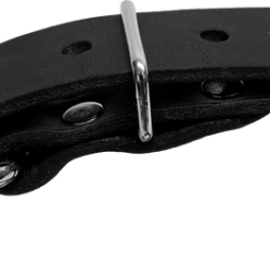 Single Layer Center D-Ring Leather Dog Collar -Agility Shop 401708 1 full 51957.1638911426