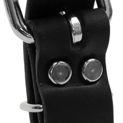 Single Layer Center D-Ring Leather Dog Collar -Agility Shop 401708 2 full 92288.1638911412