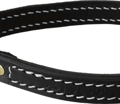 Slip Style Leather Dog Collar