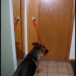 Open Command Training Rope -Agility Shop 401718 3 full 33953.1638911400