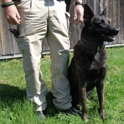 Braided Leather Dog Collar 1.5" -Agility Shop 401726 15 full 78972.1638911441