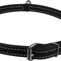 Center D-Ring Leather Dog Collar 3/4"
