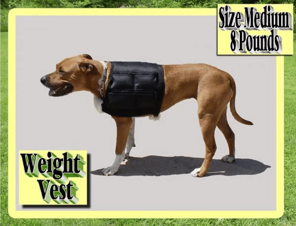 8 Lb Dog Weight Vest - Medium 4 8 Lb Dog Weight Vest - Medium - Image 4