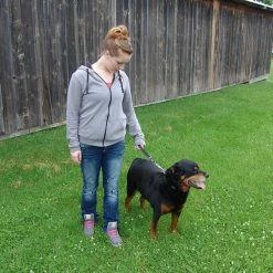 Leather Pull Tab/Leash With Herm Sprenger Snap -Agility Shop 407015 5 full 56759.1638911418