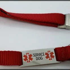 Service Dog Collar W/ Chrome Service Dog ID Tag -Agility Shop 407018 11 full 80730.1638911469