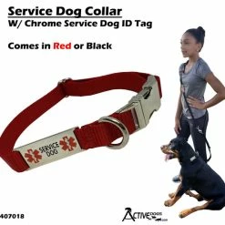 Service Dog Collar W/ Chrome Service Dog ID Tag -Agility Shop 407018 1 full 33525.1638911471