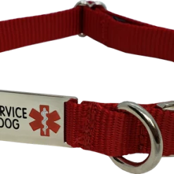 Service Dog Collar W/ Chrome Service Dog ID Tag