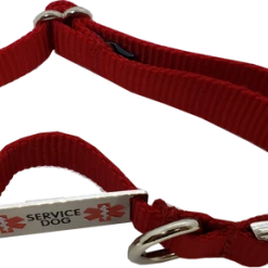 Service Dog Collar W/ Chrome Service Dog ID Tag -Agility Shop 407018 6 full 19762.1638911476