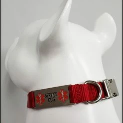 Service Dog Collar W/ Chrome Service Dog ID Tag -Agility Shop 407018 8 full 61633.1638911479