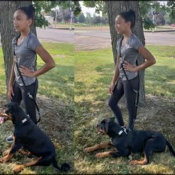 Hands Free 7' Leash W/ Chrome Service Dog ID Tag 12 Hands Free 7' Leash W/ Chrome Service Dog ID Tag -Agility Shop 407019 3 full 55948.1638911529