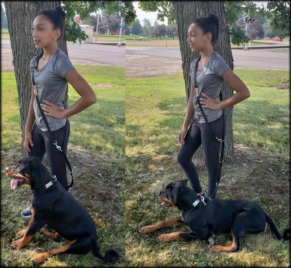 Hands Free 7' Leash W/ Chrome Service Dog ID Tag 3 Hands Free 7' Leash W/ Chrome Service Dog ID Tag - Image 3