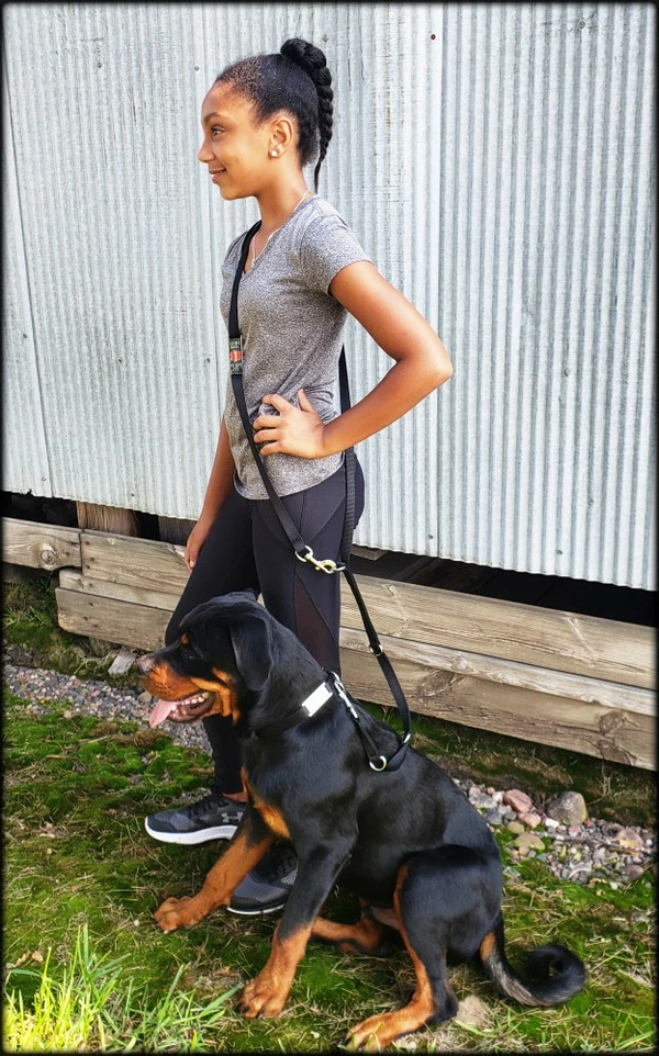 Hands Free 7' Leash W/ Chrome Service Dog ID Tag 9 Hands Free 7' Leash W/ Chrome Service Dog ID Tag - Image 9