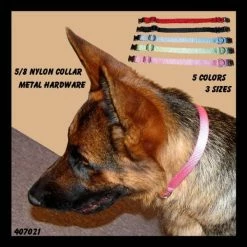 Nylon Dog Collar 5/8" -Agility Shop 407021AD3 84617.1638911380