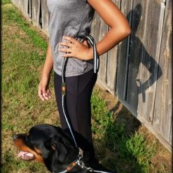 Reflective Service Dog 5' Leash W/Chrome Service Dog ID Tag -Agility Shop 407022 5 full 73440.1638911472