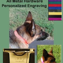 Nylon Dog Collars - 1" -Agility Shop 407028AD2 86814.1638911388