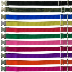 Nylon Dog Collars - 1" -Agility Shop 407028T full 67890.1638911381