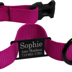 Personalized ID Nylon Dog Collar - 1" -Agility Shop 407035 11 full 23912.1647863650