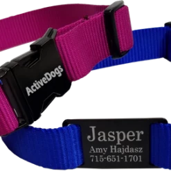 Personalized ID Nylon Dog Collar - 1"