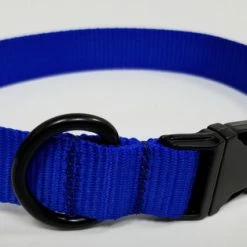 Personalized ID Nylon Dog Collar - 1" -Agility Shop 407035 4 full 37181.1647863650