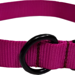 Personalized ID Nylon Dog Collar - 1" -Agility Shop 407035 6 full 90144.1647863650