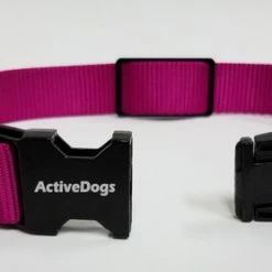 Personalized ID Nylon Dog Collar - 1" -Agility Shop 407035 7 full 65042.1647863650