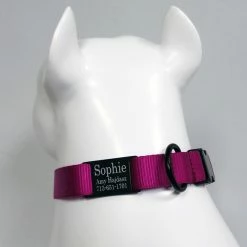 Personalized ID Nylon Dog Collar - 1" -Agility Shop 407035 9 full 32047.1647863650