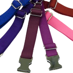 Nylon No-Slip Dog Collar - 1" Martingale -Agility Shop 407060 11 full 95671.1638911390