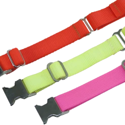 Nylon No-Slip Dog Collar - 1" Martingale -Agility Shop 407060 12 full 24378.1638911396