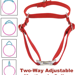 Nylon No-Slip Dog Collar - 1" Martingale -Agility Shop 407060 15 full 65791.1638911407